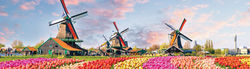 March 30 – April 7, 2027 | Holland and Belgium Springtime River Cruise
