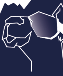 Logo_ski_camel_final_Version_Palmier-1_edited.png