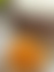 I Used An Oven For This Spaghetti