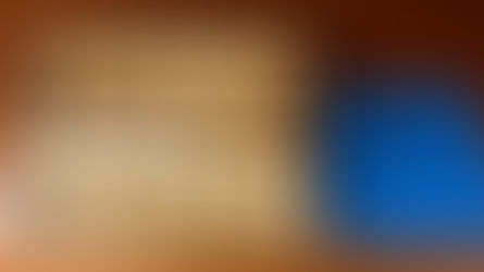 Day 5 (03/09): New York Crumb Cake & Chocolate Cake