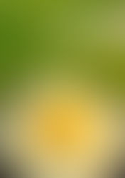 Mango Shrikhand Is A Game Changer