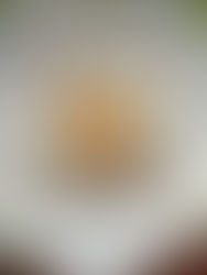 Day 30 (28/09): Fried Egg & Toast