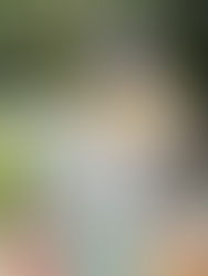 Day 102 (09/12): Coffee Walnut Coffee