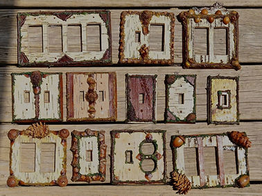 Tricia Watson BIRCH BARK SWITCH COVER.jpg