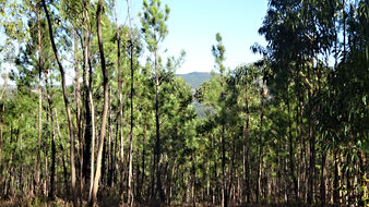 DSC01484.JPG