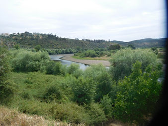 DSCN3902.JPG
