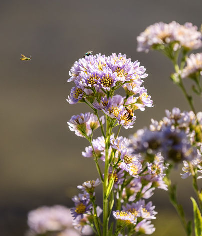 Luxury home textile and fabric detail - interior design photography D.C.