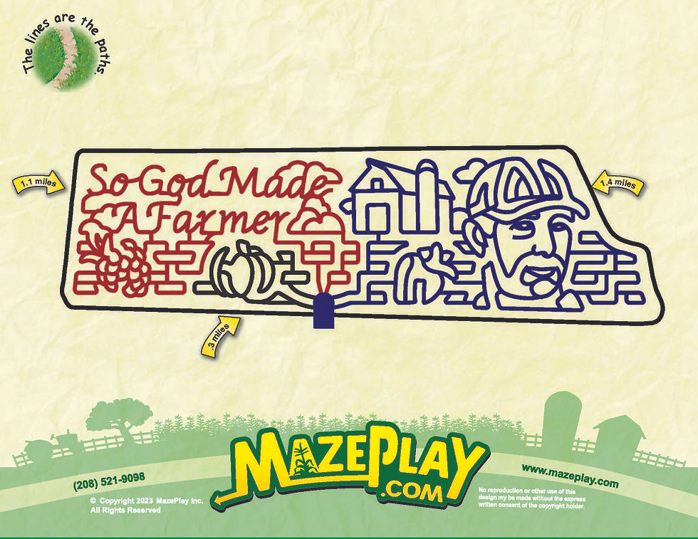 Corn Maze