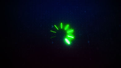 RODEO PERSONNEL | Tri-State Rodeo