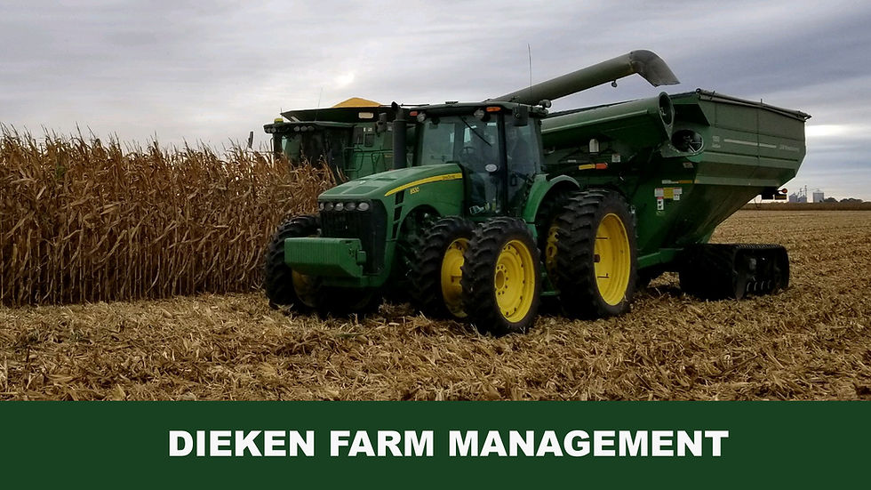 dieken farm management
