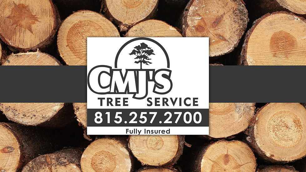 CMJ Tree Service