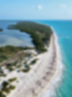 isla blanca private tour wildlife birding nature group tour virgin beach