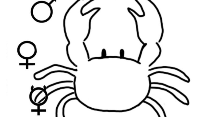 Venus, Mars, Saturn, Rahu & Ketu in Cancer