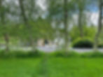 Tree Lined Drive