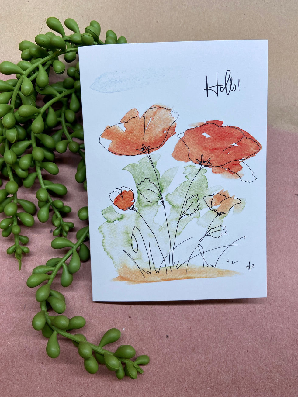 Poppies Hello
