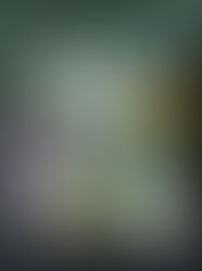 Hawthorn In Progress