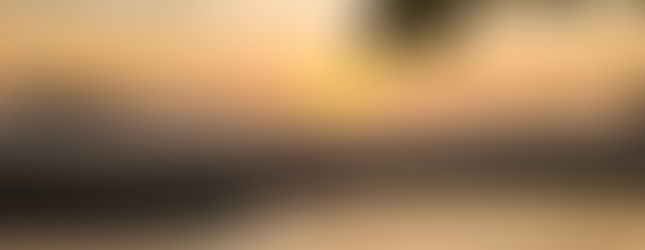 A pale orange sunset under dark leaves over the ocean