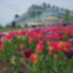 The Grand Hotel on Mackinac Island in the upper center, while down in front are a variety of pink, purple, and yellow flowers.