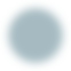 disco_posteriore_prodotti.png