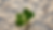 A flower grows in harsh desert conditions