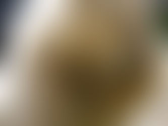 Mitigate!  Mitigate!  Mitigate!  Wait, I can do something else?? Go on….