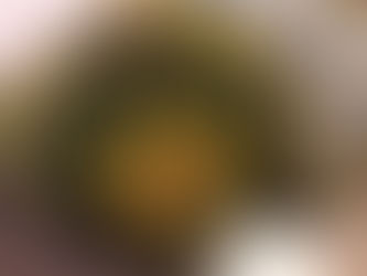 Еще одна бискорню по схеме от Мартины Вебер