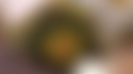 Еще одна бискорню по схеме от Мартины Вебер