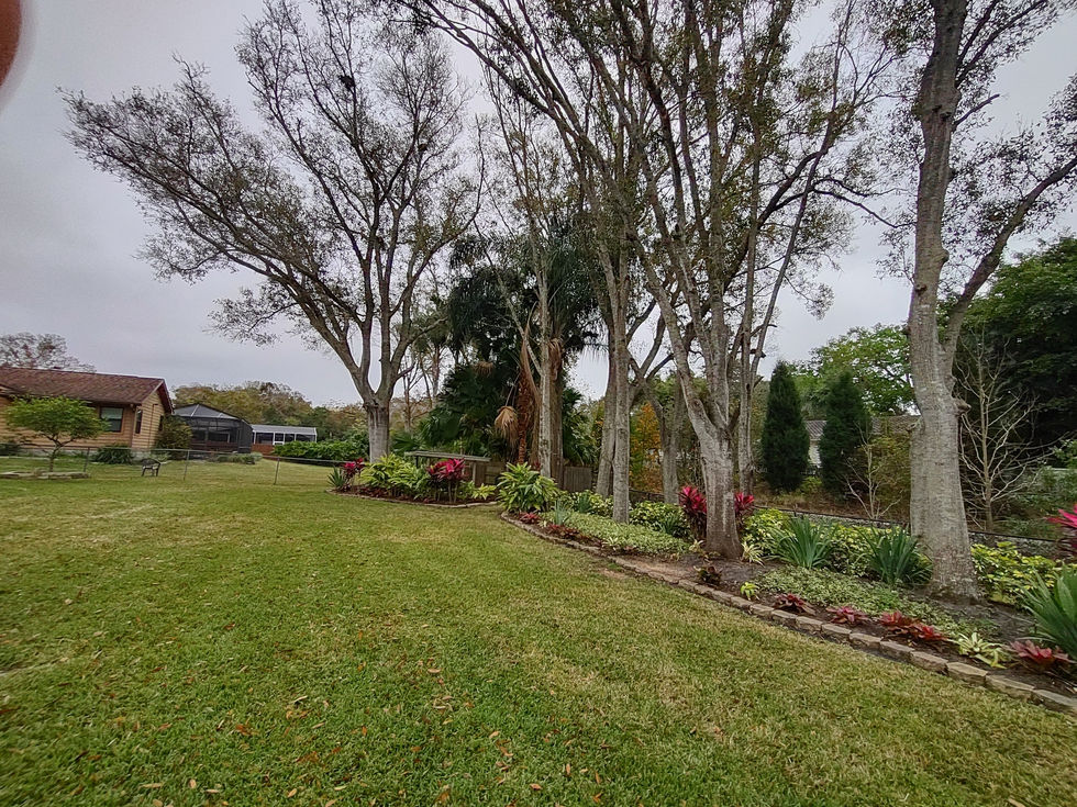 IMG_20220207_123810031_HDR
