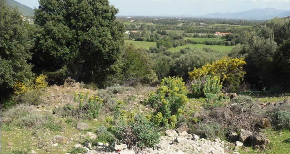 ENTE ACQUE DELLA SARDEGNA - VAL149