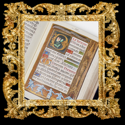 Grafiche Domus (2).png