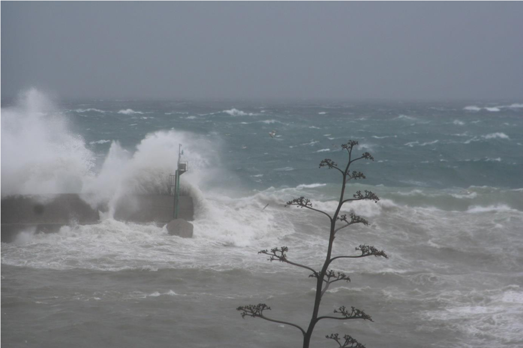 PORTO PALERMO - VAL 154 — immagine 5