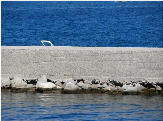 PORTO PALERMO - VAL 154 — immagine 1