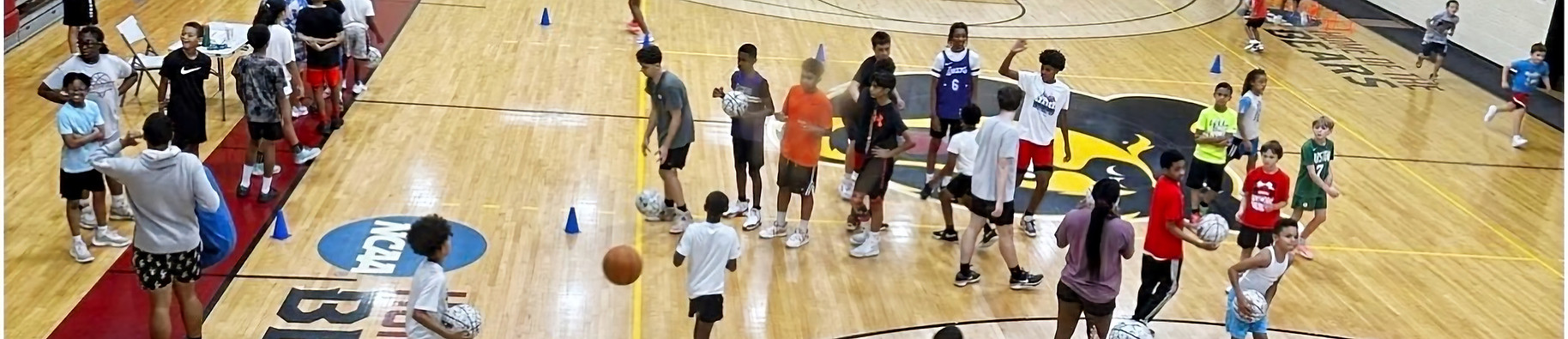 Lab Development Basketball LAB Development | HOME