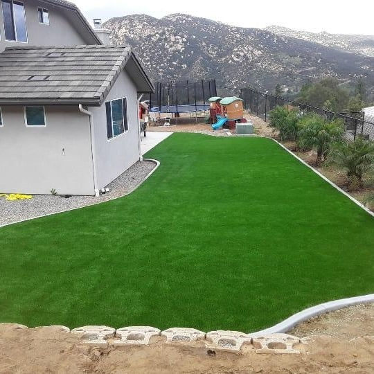 Backyard Turf