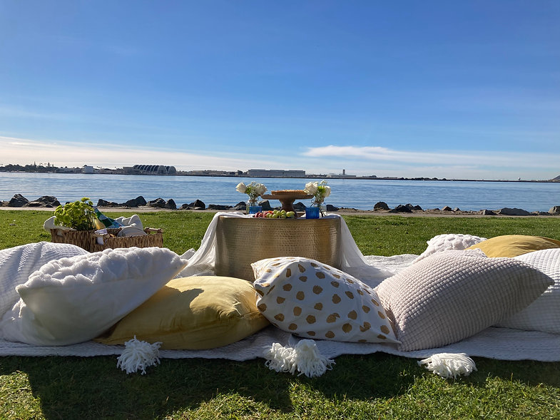 luxury picnic.jpeg