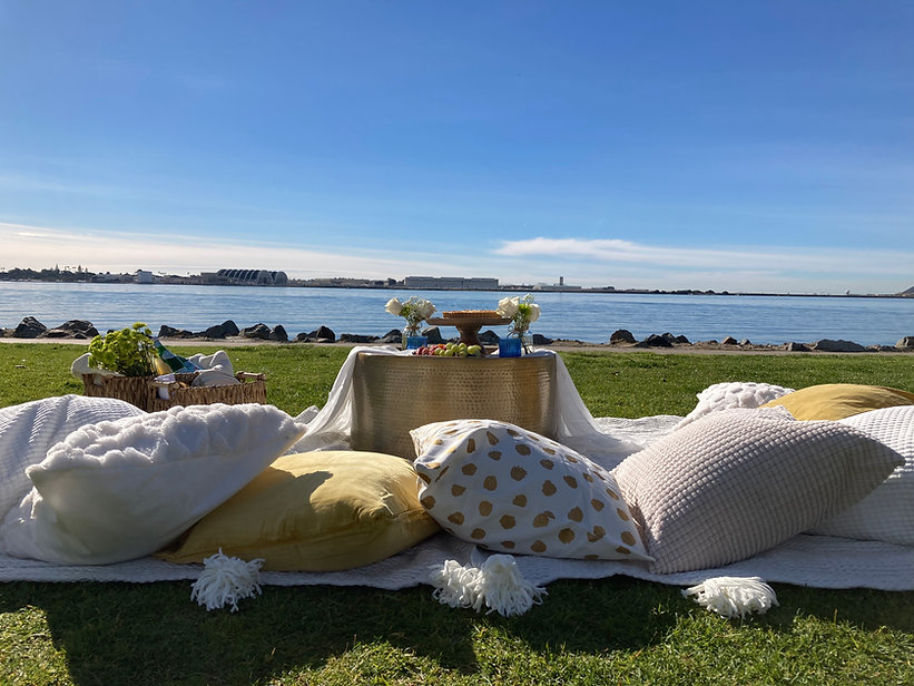 luxury picnic.jpeg