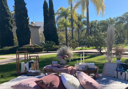 Omi Picnics San Diego Luxury Picnic