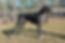 33817372_198843457595963_8652465622157885440_n