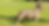 242642025_237263928225394_342530368598380524_n