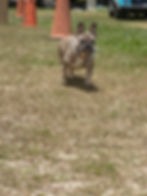 215382232_2599597173681270_6269252475289209926_n