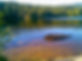 Found_226027744_474913.jpg
