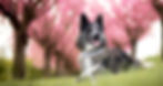 1000037878_edited_edited.jpg