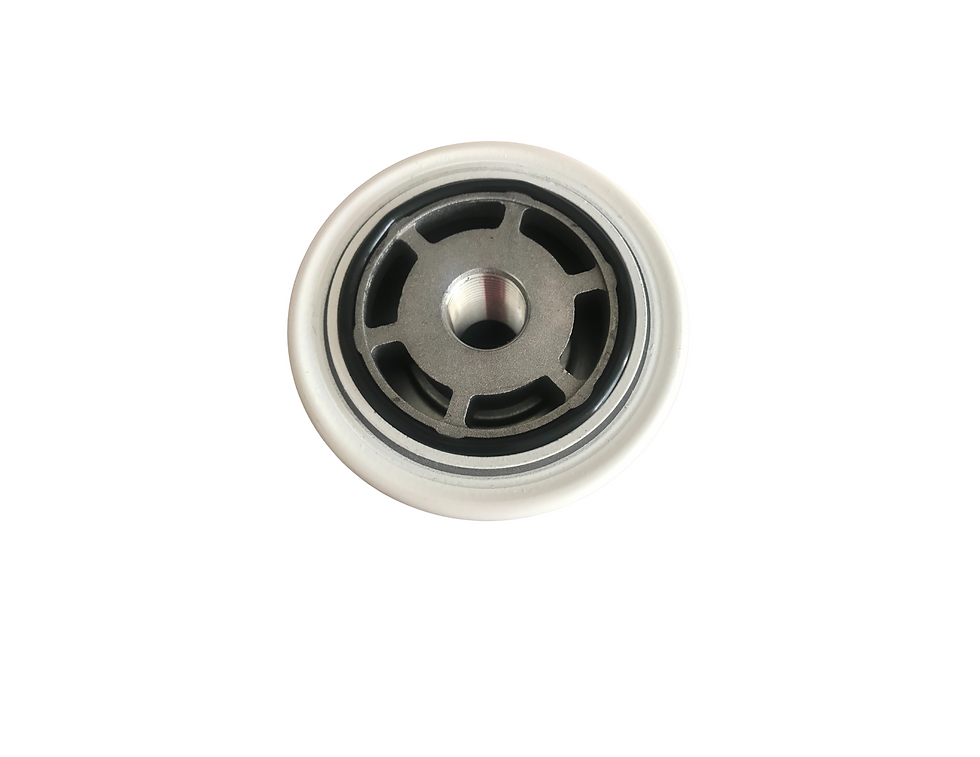 Miniatura: 40701 FILTRO
