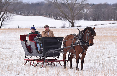 2020.02.15 sleigh ride (146).JPG