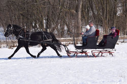 FB_IMG_1759486614007