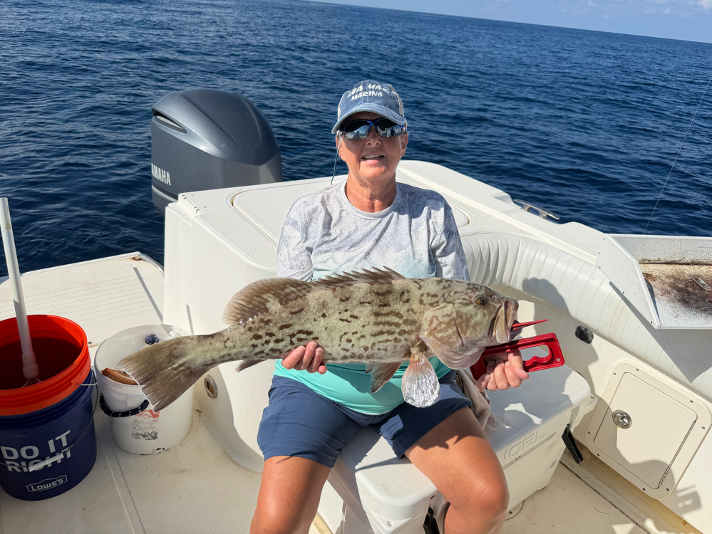 September offshore-Red snapper, red grouper, yellowtail, gag grouper and more!