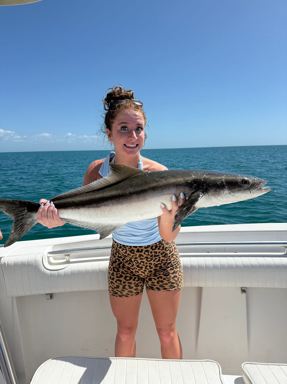 Cobia caught on a nearshore fishing charter in Fort Myers with Gulf Coast Fishing Charters LLC