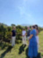 Explore a picturesque vineyard and winery with an expert guide.