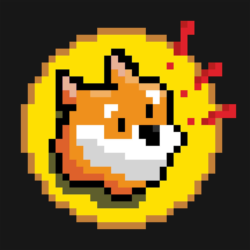 BONK Solana token