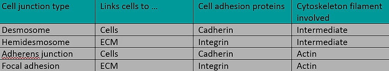 table.png